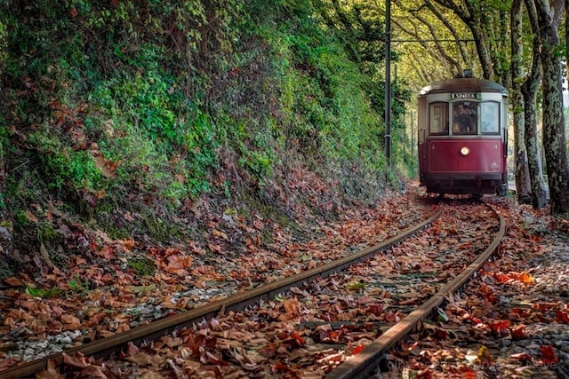 Tranvía (Elétrico) de Sintra que va hasta la Praia das Maçãs Tranvía (Elétrico) de Sintra que va hasta la Praia das Maçãs
